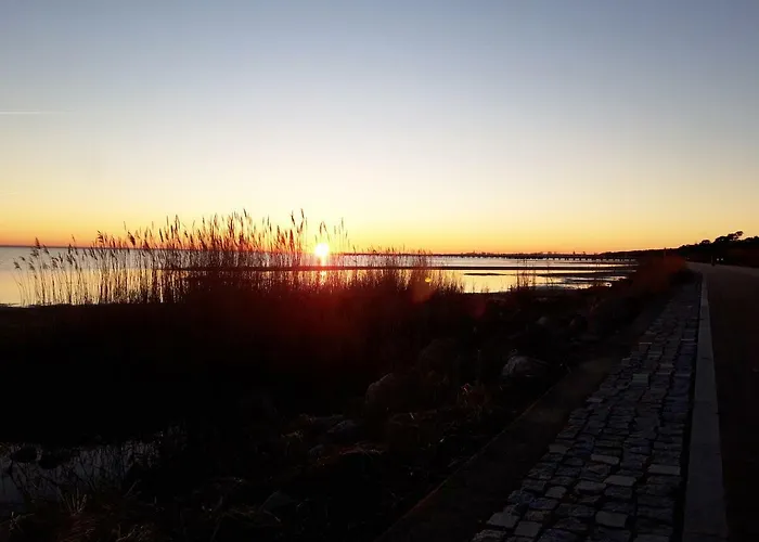 Apartment Fala Bryza *